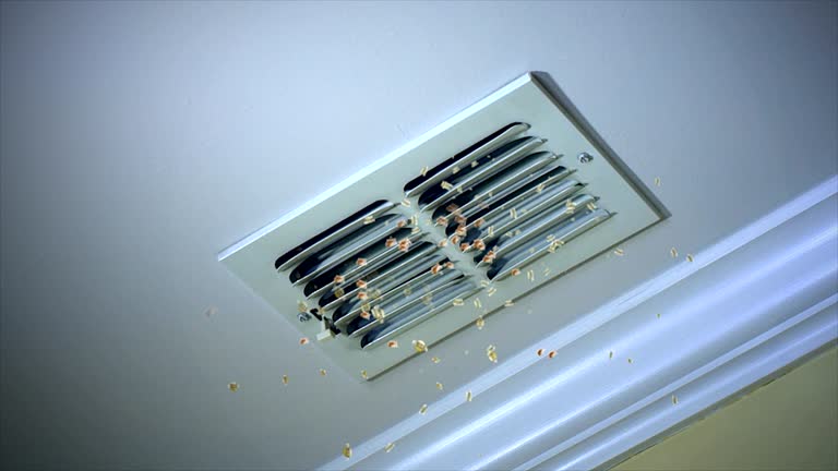 Best Air Duct Sanitizing Services  in Dayton, KY